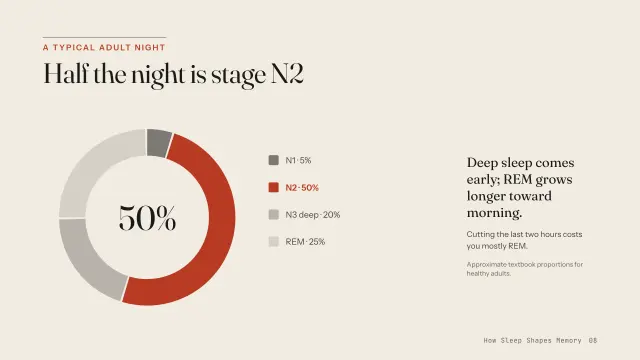 How Sleep Shapes Memory, slide 8
