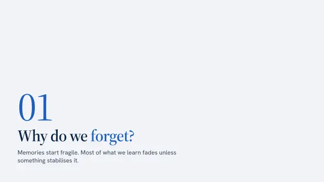 Atlas theme: Section — why do we forget?
