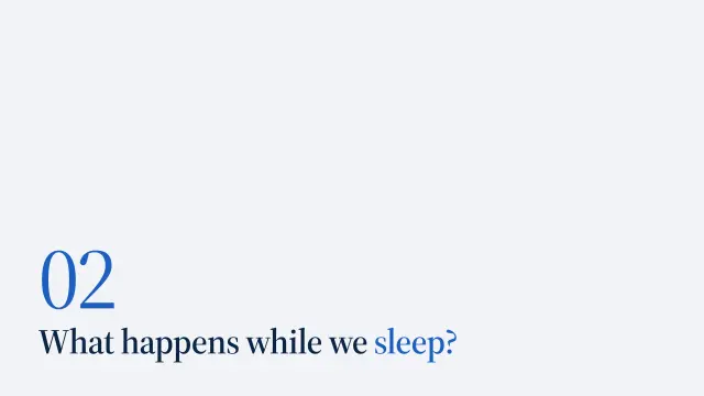 Atlas theme: Section — what happens while we sleep?