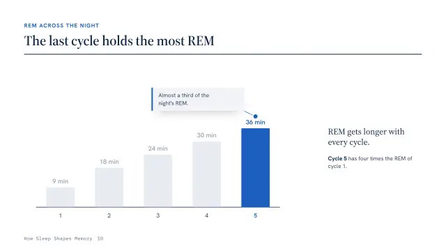 Atlas theme: Chart story — REM across the night