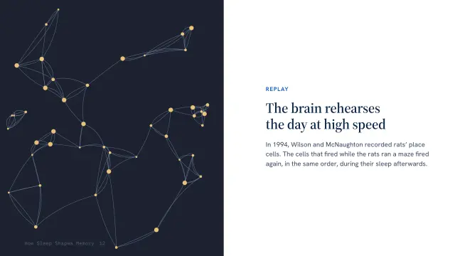 Atlas theme: Split — the brain rehearses the day