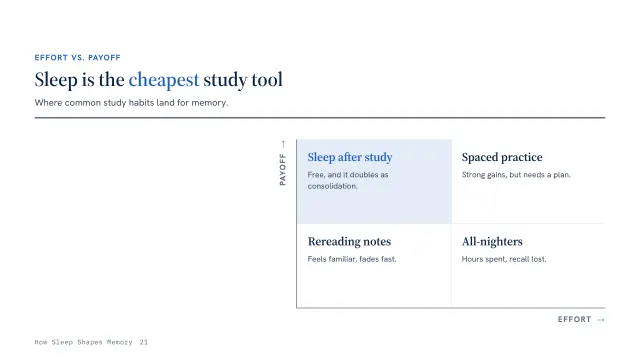 Atlas theme: Matrix — sleep is the cheapest study tool