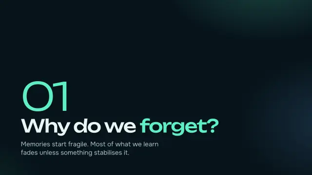 Aurora theme: Section — why do we forget?