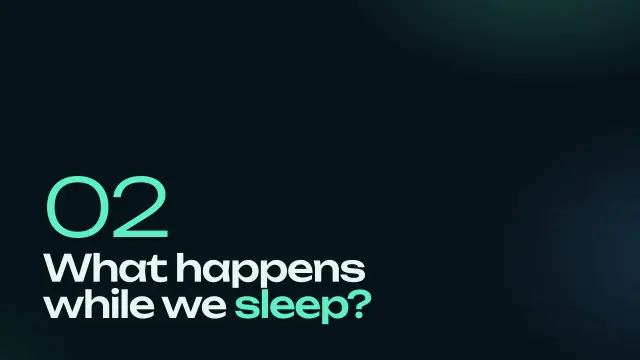Aurora theme: Section — what happens while we sleep?