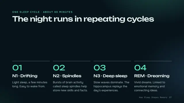 Aurora theme: Steps — the four sleep stages