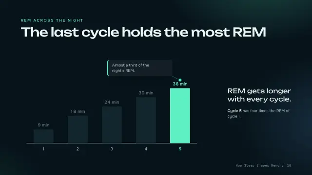 Aurora theme: Chart story — REM across the night