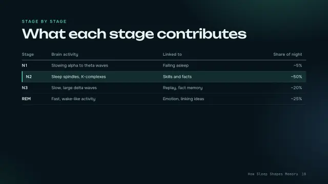 Aurora theme: Table — what each stage contributes