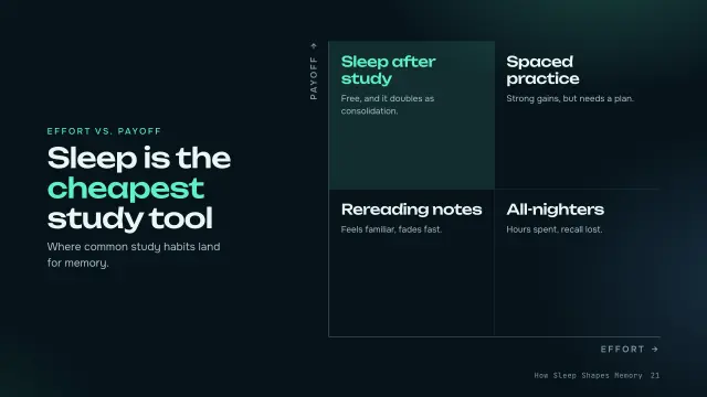 Aurora theme: Matrix — sleep is the cheapest study tool