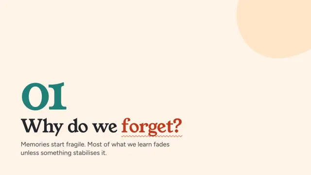 Bloom theme: Section — why do we forget?