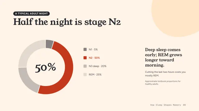 Bloom theme: Chart — half the night is stage N2