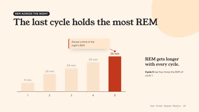 Bloom theme: Chart story — REM across the night