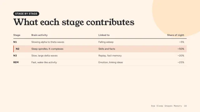 Bloom theme: Table — what each stage contributes