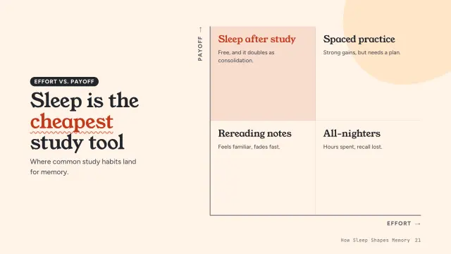 Bloom theme: Matrix — sleep is the cheapest study tool