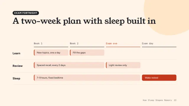 Bloom theme: Roadmap — a two-week exam plan