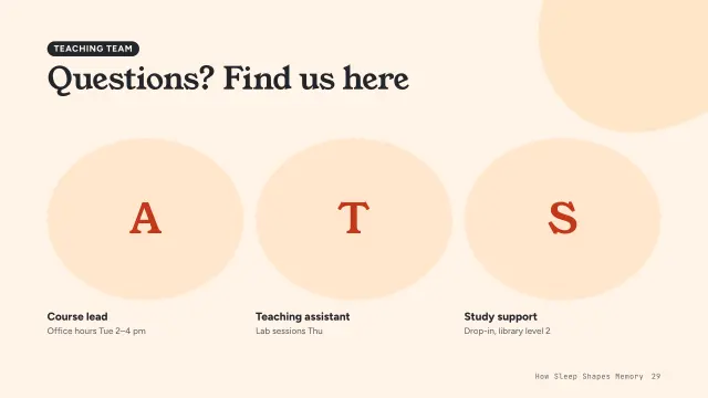 Bloom theme: People — teaching team