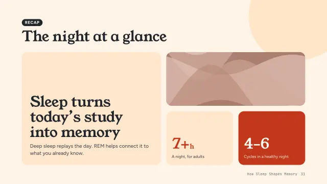Bloom theme: Bento — the night at a glance