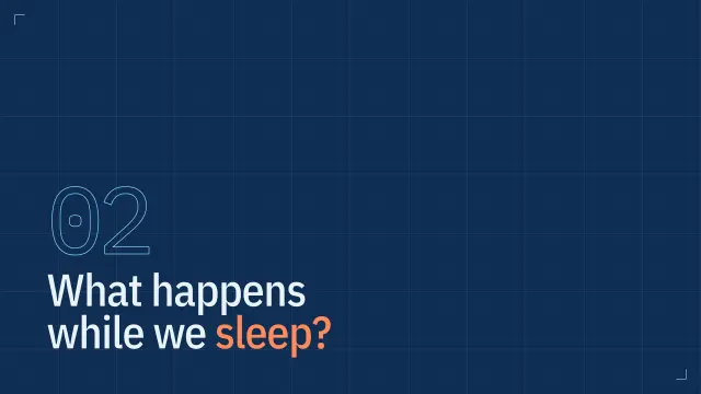 Blueprint theme: Section — what happens while we sleep?