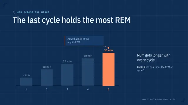Blueprint theme: Chart story — REM across the night