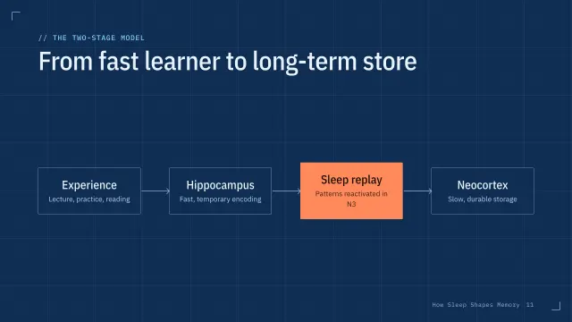 Blueprint theme: Diagram — the two-stage model