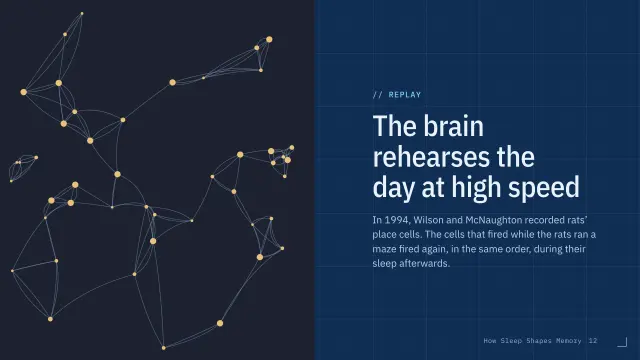 Blueprint theme: Split — the brain rehearses the day