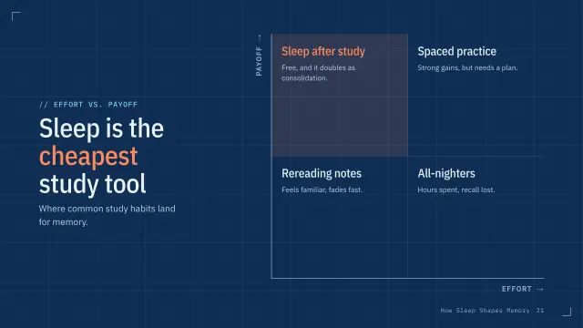 Blueprint theme: Matrix — sleep is the cheapest study tool