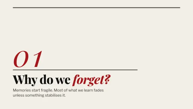 Broadsheet theme: Section — why do we forget?
