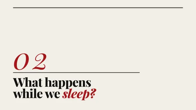 Broadsheet theme: Section — what happens while we sleep?