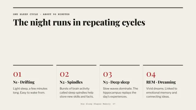Broadsheet theme: Steps — the four sleep stages
