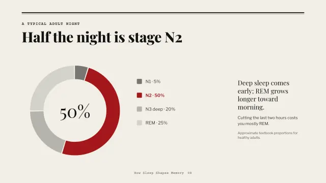 Broadsheet theme: Chart — half the night is stage N2