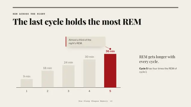 Broadsheet theme: Chart story — REM across the night