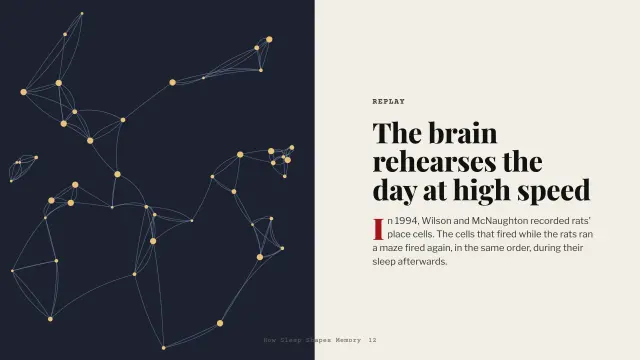 Broadsheet theme: Split — the brain rehearses the day