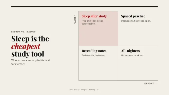 Broadsheet theme: Matrix — sleep is the cheapest study tool