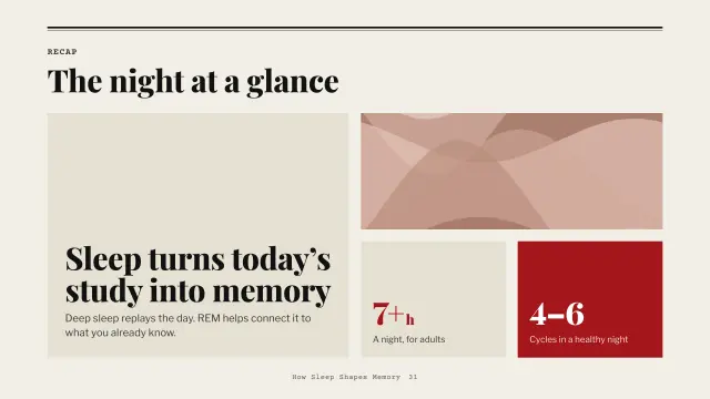 Broadsheet theme: Bento — the night at a glance