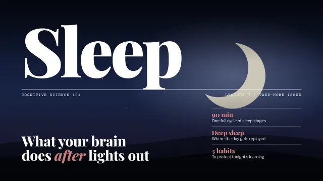 Broadsheet theme: Cover — the take-home issue