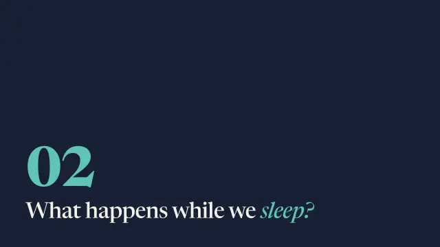 Campus theme: Section — what happens while we sleep?