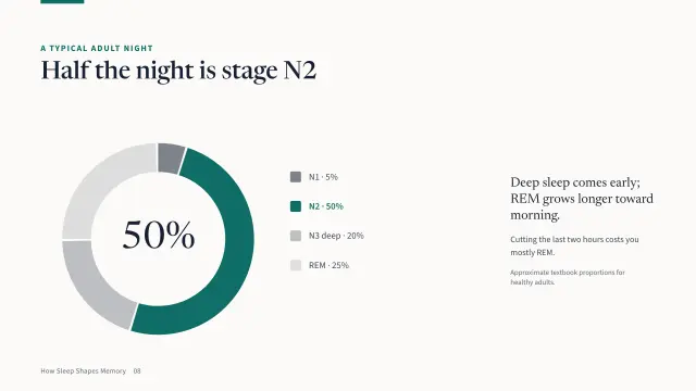 Campus theme: Chart — half the night is stage N2