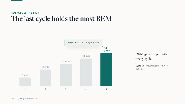 Campus theme: Chart story — REM across the night