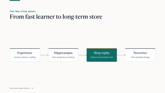 Campus theme: Diagram — the two-stage model