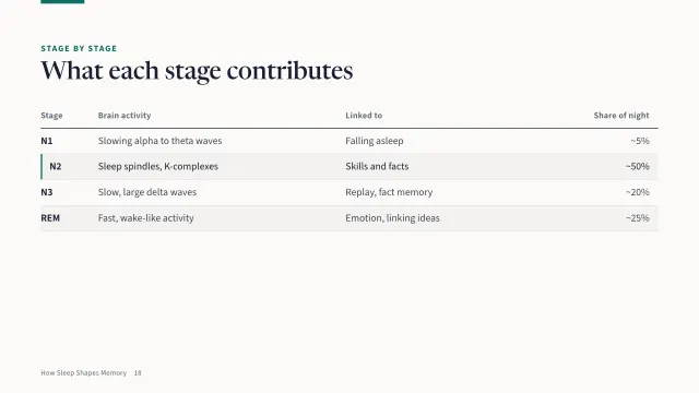Campus theme: Table — what each stage contributes