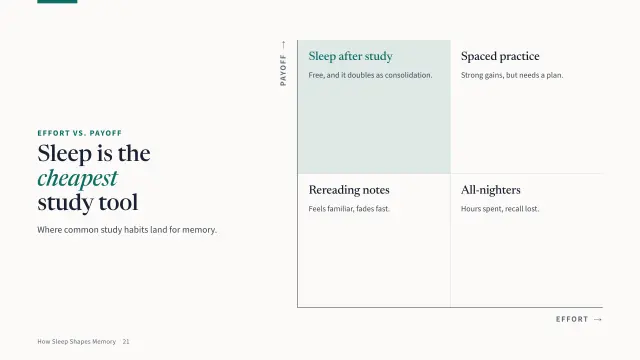 Campus theme: Matrix — sleep is the cheapest study tool