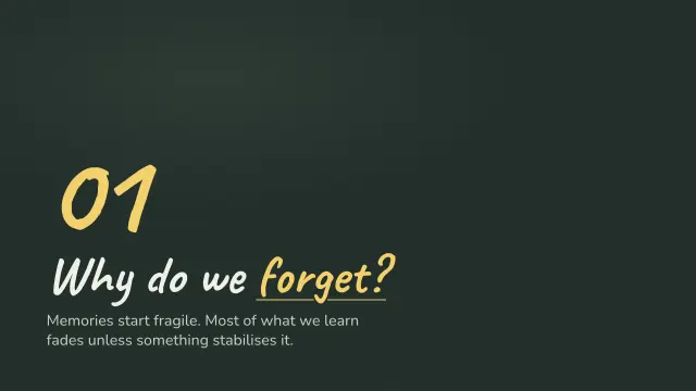 Chalk theme: Section — why do we forget?
