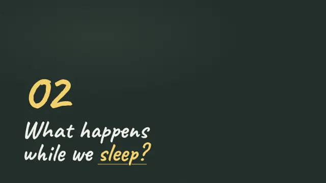 Chalk theme: Section — what happens while we sleep?