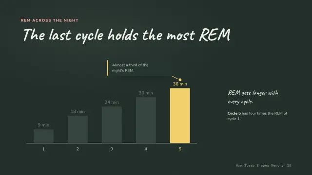 Chalk theme: Chart story — REM across the night