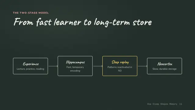 Chalk theme: Diagram — the two-stage model
