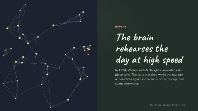 Chalk theme: Split — the brain rehearses the day