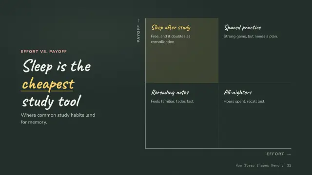 Chalk theme: Matrix — sleep is the cheapest study tool