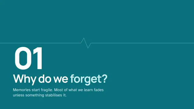 Clinic theme: Section — why do we forget?