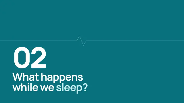 Clinic theme: Section — what happens while we sleep?