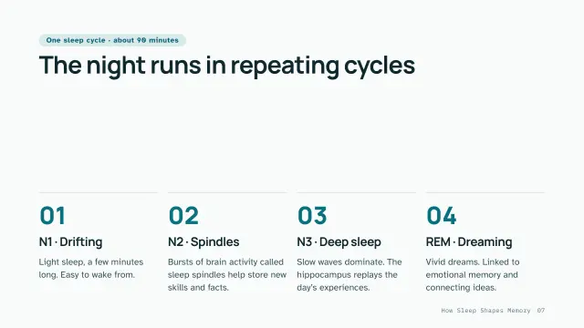 Clinic theme: Steps — the four sleep stages