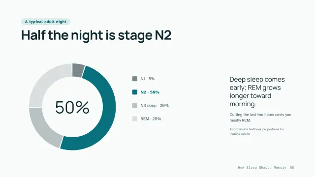 Clinic theme: Chart — half the night is stage N2